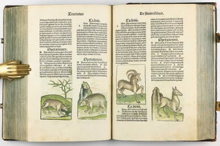 Hortus Sanitatis.