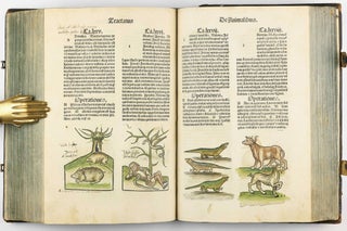 Hortus Sanitatis.