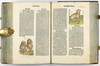 Hortus Sanitatis.