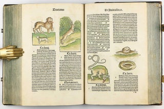 Hortus Sanitatis.