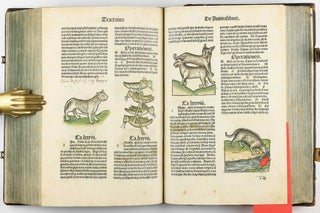 Hortus Sanitatis.