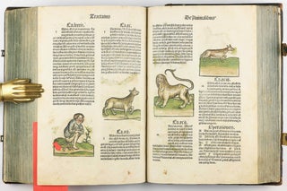 Hortus Sanitatis.