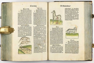 Hortus Sanitatis.