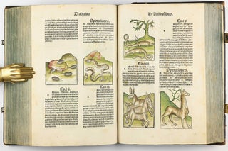Hortus Sanitatis.