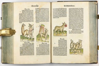 Hortus Sanitatis.