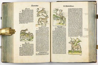 Hortus Sanitatis.