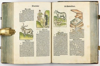 Hortus Sanitatis.