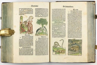 Hortus Sanitatis.