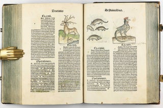 Hortus Sanitatis.