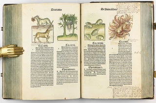Hortus Sanitatis.
