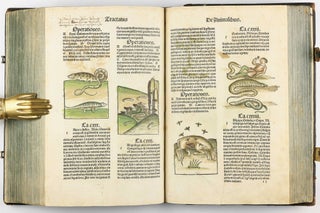 Hortus Sanitatis.