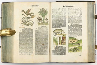Hortus Sanitatis.