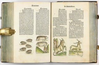 Hortus Sanitatis.