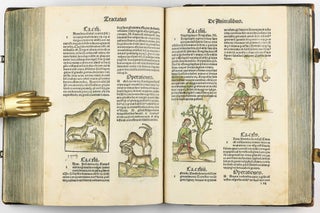 Hortus Sanitatis.