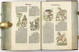Hortus Sanitatis.