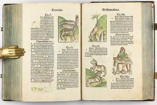 Hortus Sanitatis.