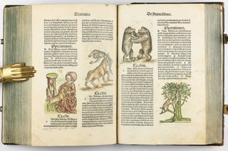 Hortus Sanitatis.