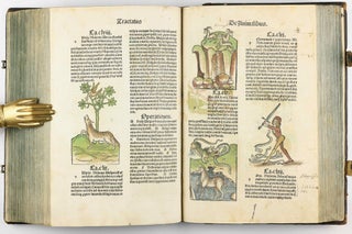 Hortus Sanitatis.