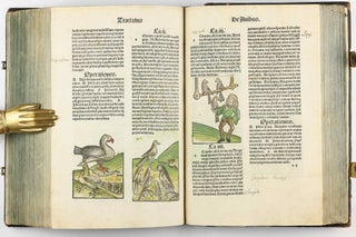 Hortus Sanitatis.