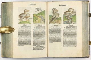 Hortus Sanitatis.