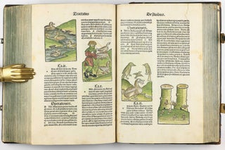 Hortus Sanitatis.