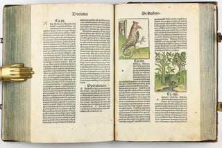 Hortus Sanitatis.