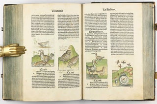 Hortus Sanitatis.