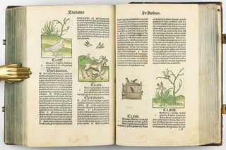 Hortus Sanitatis.