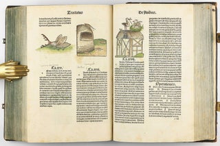 Hortus Sanitatis.