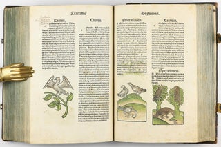 Hortus Sanitatis.