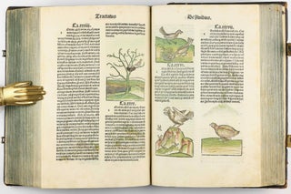 Hortus Sanitatis.