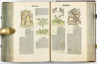 Hortus Sanitatis.
