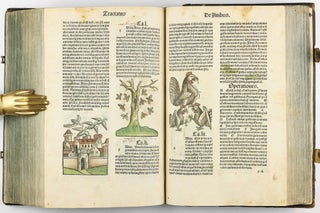 Hortus Sanitatis.