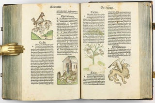 Hortus Sanitatis.
