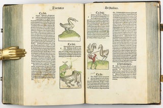 Hortus Sanitatis.