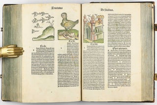 Hortus Sanitatis.