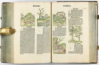 Hortus Sanitatis.