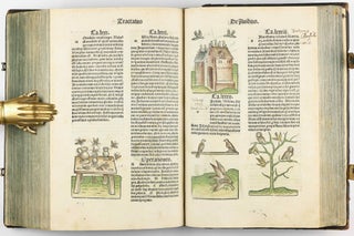 Hortus Sanitatis.