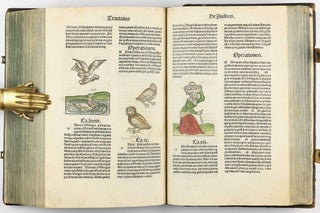 Hortus Sanitatis.