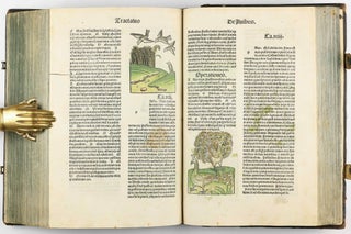 Hortus Sanitatis.
