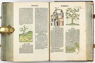 Hortus Sanitatis.