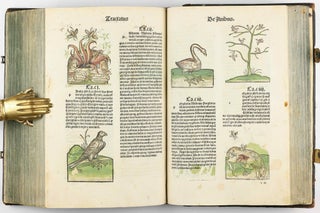 Hortus Sanitatis.