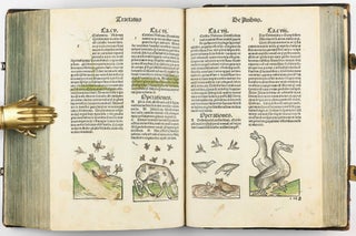 Hortus Sanitatis.