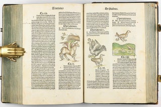 Hortus Sanitatis.