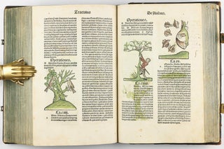 Hortus Sanitatis.