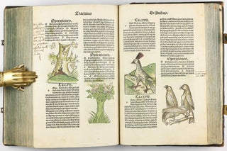 Hortus Sanitatis.