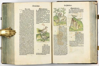 Hortus Sanitatis.