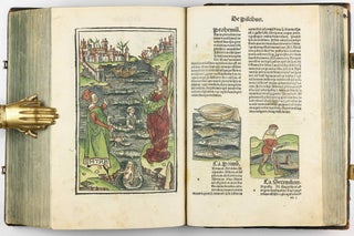 Hortus Sanitatis.
