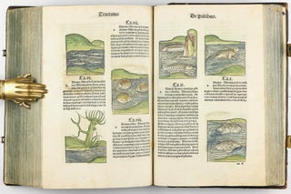 Hortus Sanitatis.