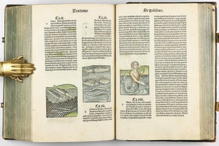 Hortus Sanitatis.